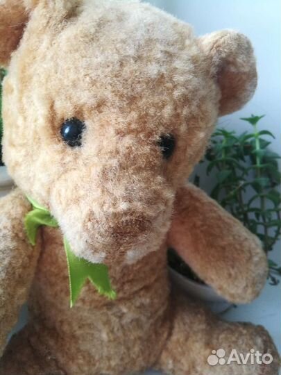 Мишка плюшевый СССР и котенок