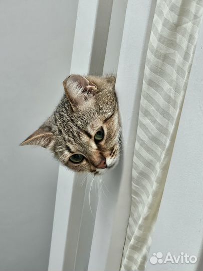 Бездомный ребенок