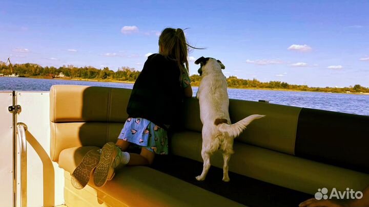 Прогулки на катере / аренда катера