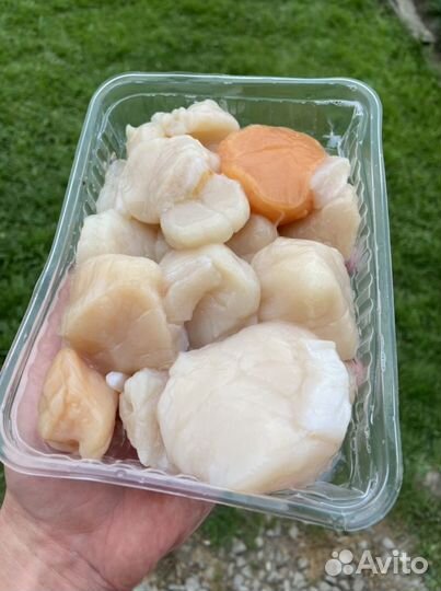 Морской гребешок (крупный)