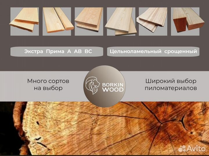 Мебельный щит лиственница