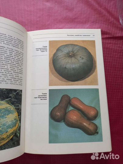 Энциклопедия Овощные культуры