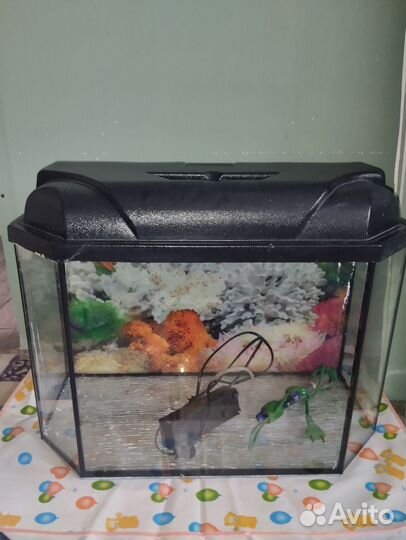 Аквариум 60 литров