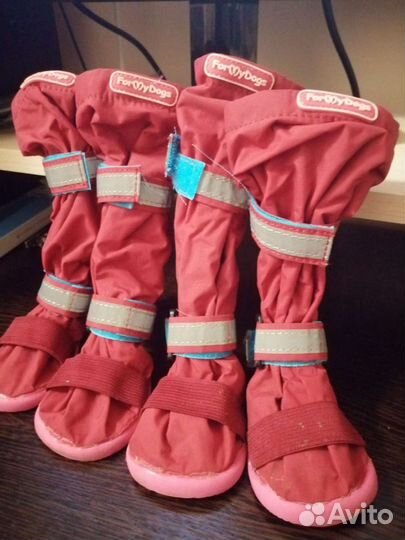 Ботиночки для собак