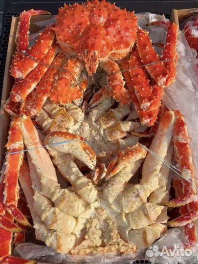 Краб Колючий (Камчатка) цельный. Цена за кг