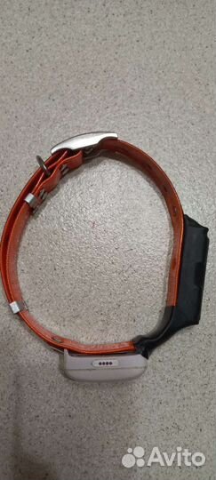 Gps трекер для собак