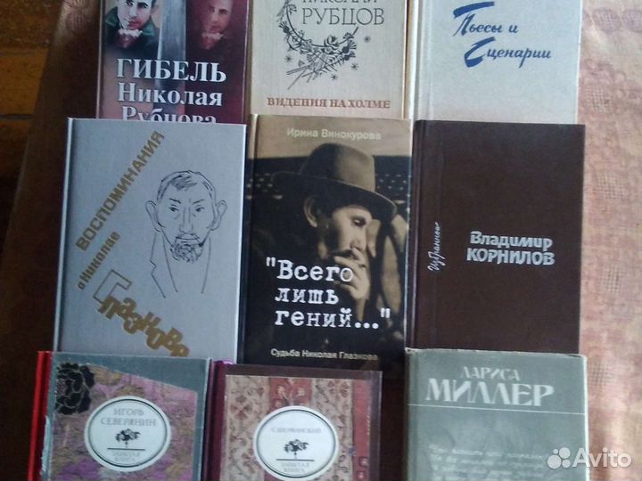 Библиотека поэта