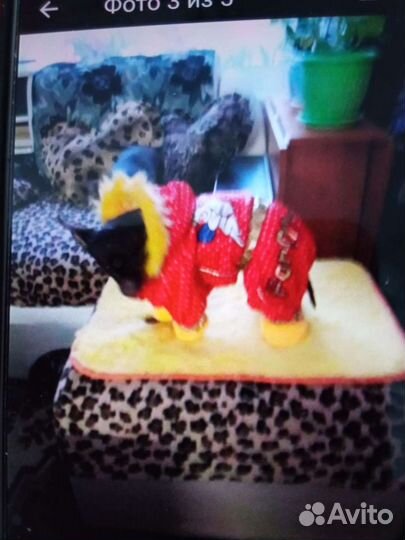 Комбинезон для маленькой собаки девочки