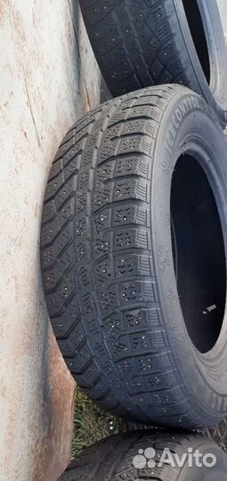 Brasa IceControl 195/65 R15
