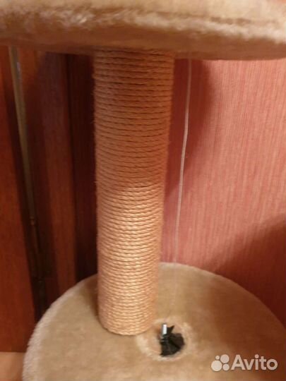 Когтеточка домик для кошки Trixie