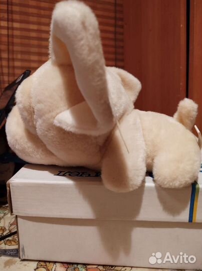 Собачка чихуахуа