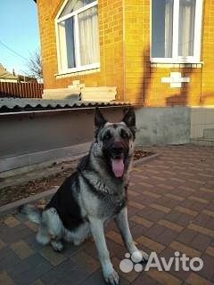 Кабель на вязку