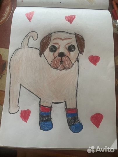 Рисунок вашего питомца