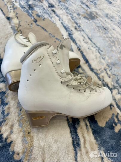 Фигурные коньки edea chorus 235D