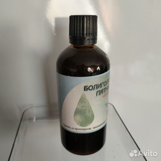 Болиголов