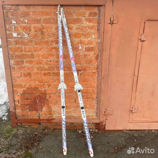 Беговые лыжи Sable