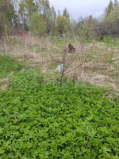 Дача 20 м² на участке 6 сот.