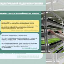 Бизнес на натуральных соках, Мядель