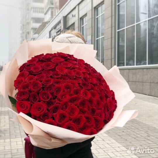 101 Роза цветы 201 101 51 Роза. Свежие Розы