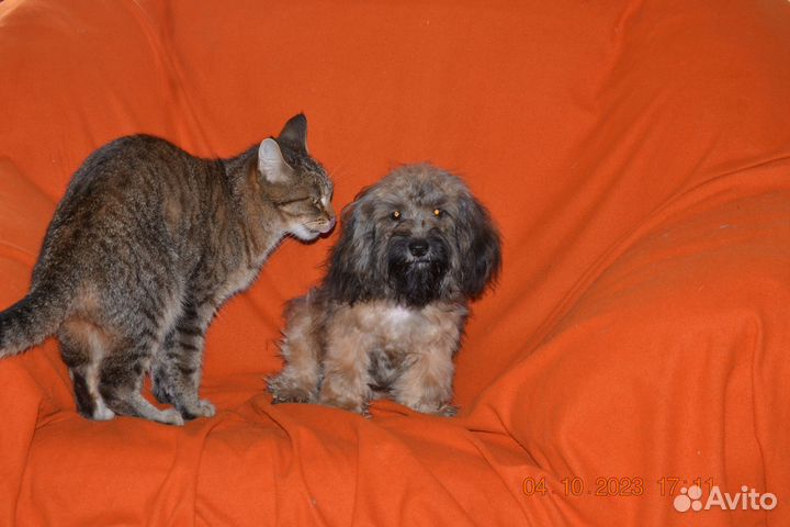 Очаровательный мальчик