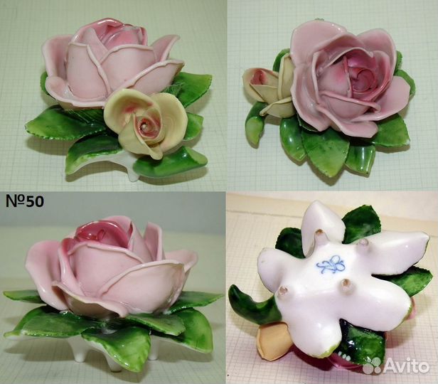 Роза фарфоровая Rudolf Kammer