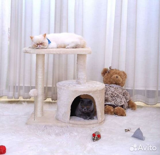 Когтеточка с домиком
