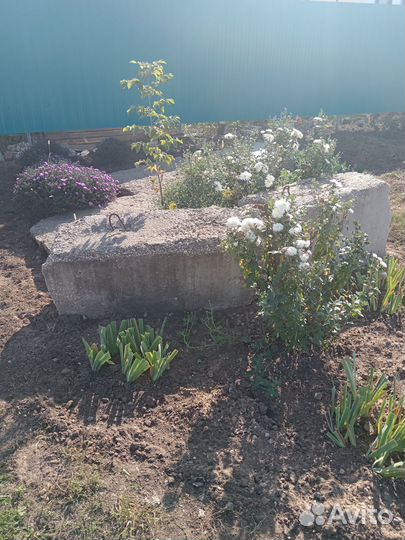 Фундаментные блоки фбс