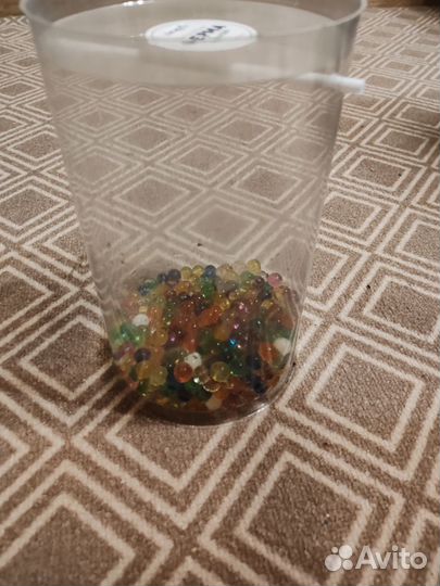 Ферма для выращивания бабочек