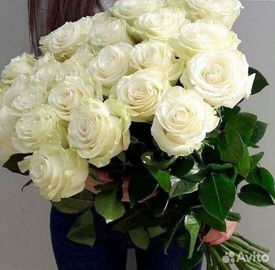 Высокие розы 150 160 170 180 190см доставка Москва