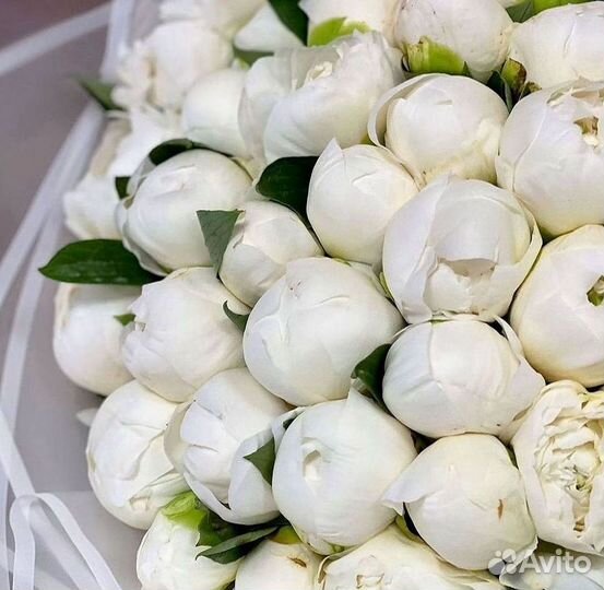 Пионы Розы Доставка