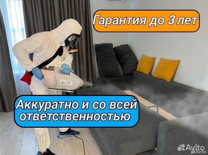 Уничтожение клопов, травить тараканов. Дезинфекция