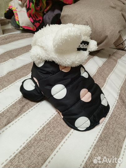 Жилетка для собак