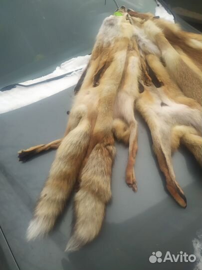 Лисьи шкуры (Мех лисы)