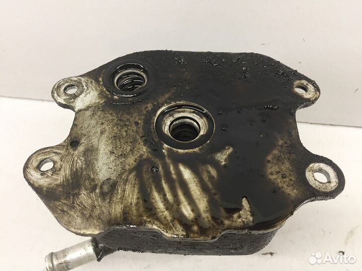 Радиатор масляный двигателя (Infiniti QX56)