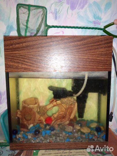 Аквариум и все для него