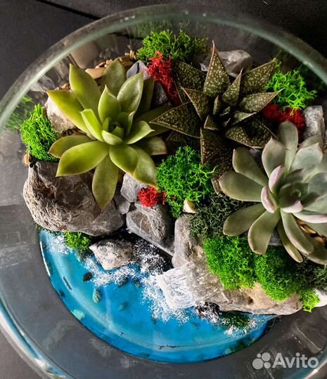 Флорариум Морской