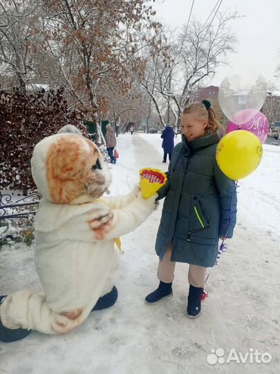 Котик, ростовая кукла,аниматор, поздравление
