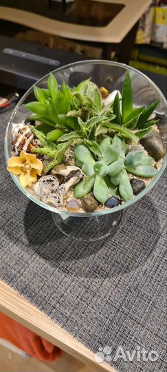 Флорариум на заказ суккуленты