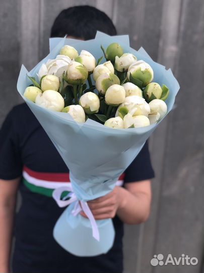 Пионы 21, 25, 31, 35 шт