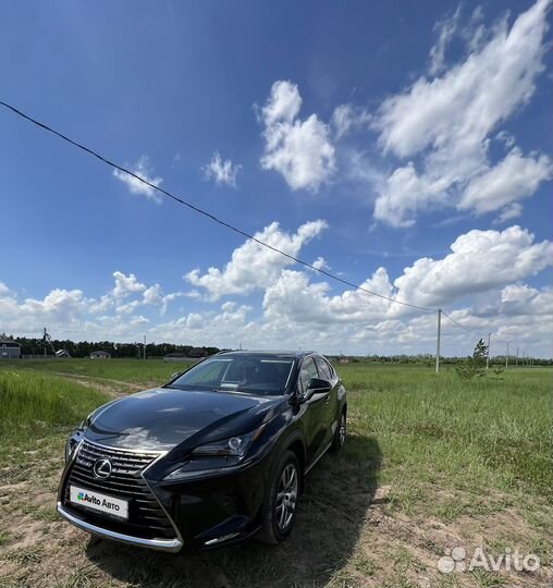 Lexus NX 2.0 AT, 2020, 52 386 км