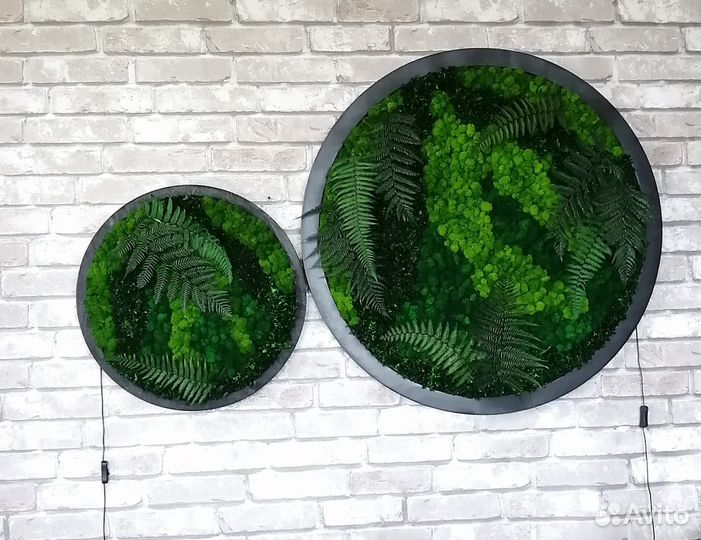 Мох стабилизированный оптом и в розницу