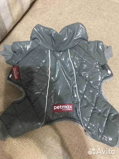 Одежда для собак