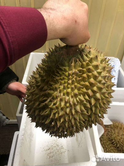 Дуриан 1 кг