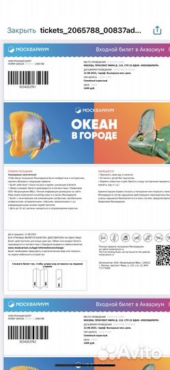 Билеты в москвариум электронные на 12.08.23