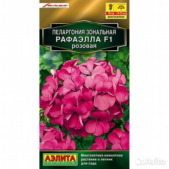 Пеларгония Рафаэлла розовая зональная F1