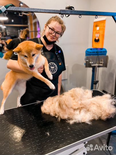 Груминг домашних питомцев