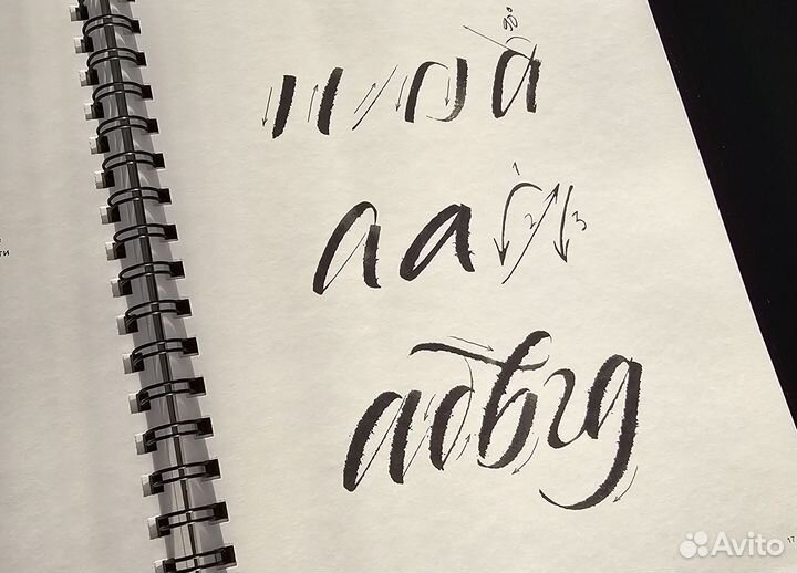 Фицнер Виктор Экспрессивная каллиграфия 20 стилей