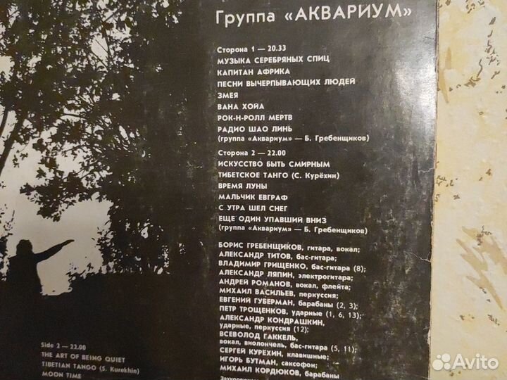 Виниловые пластинки