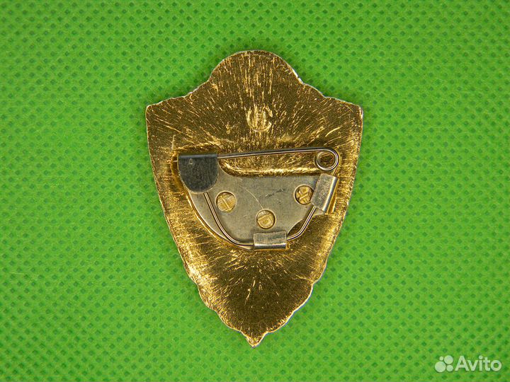 Знак мастер легкий отличный