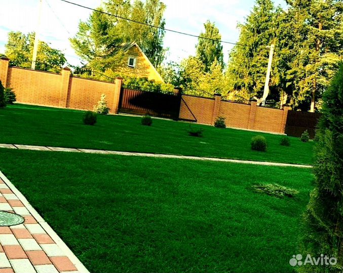 Рулонный газон 